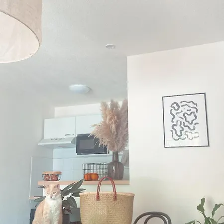 Apartment Agreable De 37m2 *